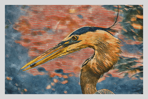 Watercolor - Great Blue Heron 9