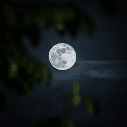 Mumbai Moons -  by ompsyram collection image