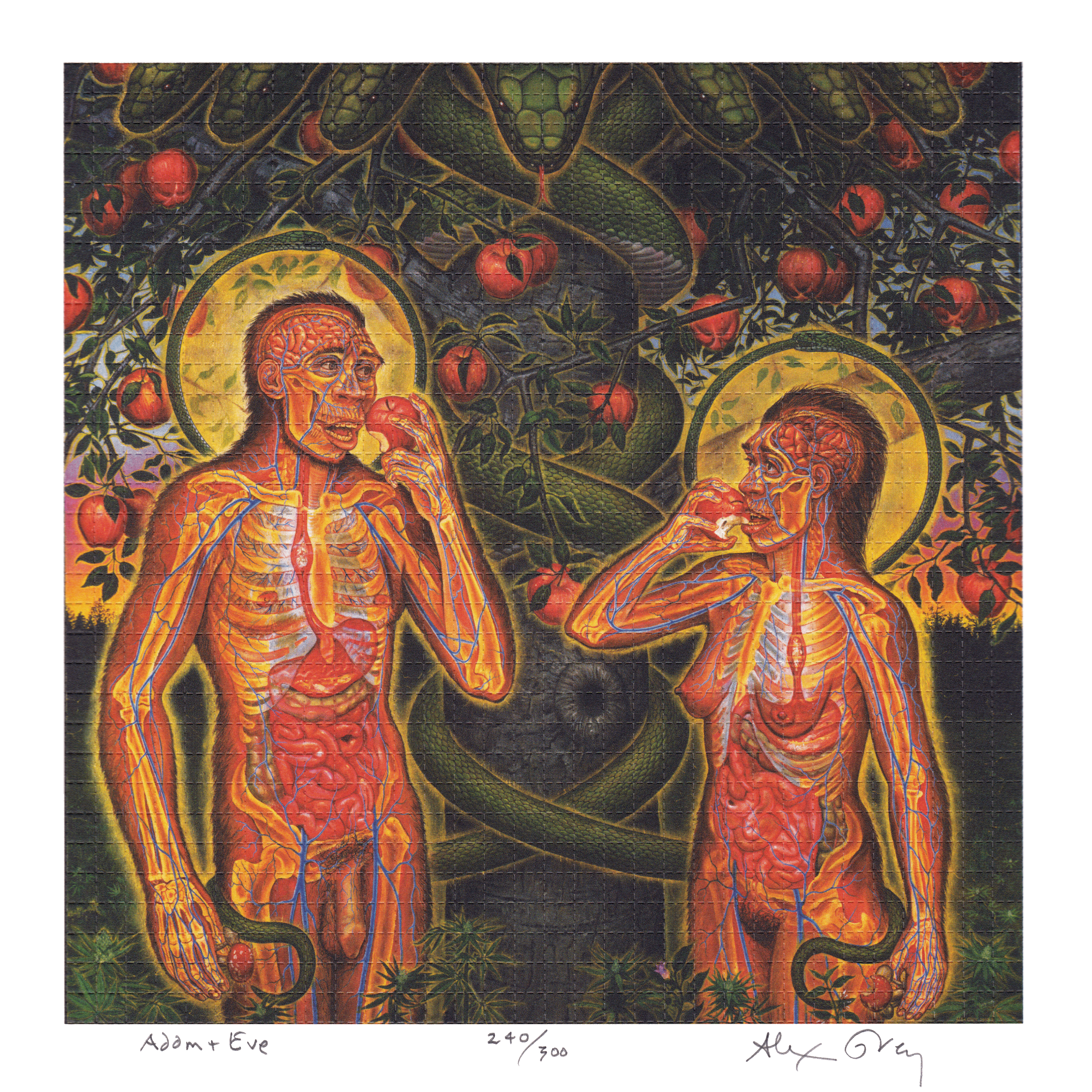 Adam & Eve by Alex Grey as LSD Blotter Art #240/300