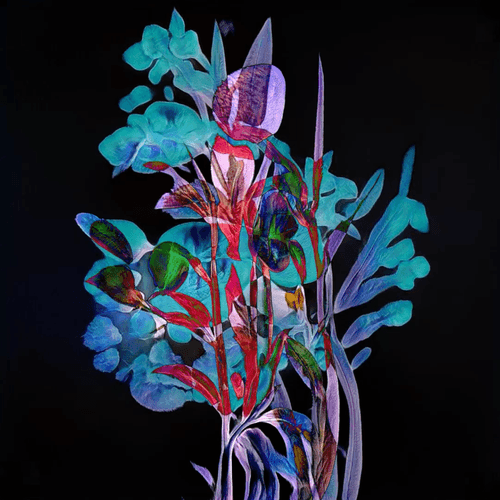 Floral Shift - Araceae extra