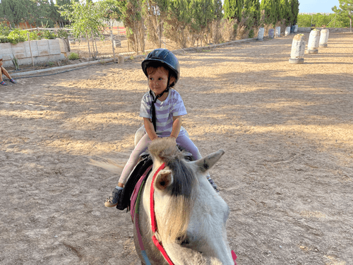 Little jockey