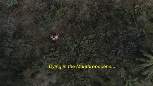 Manthropocene 