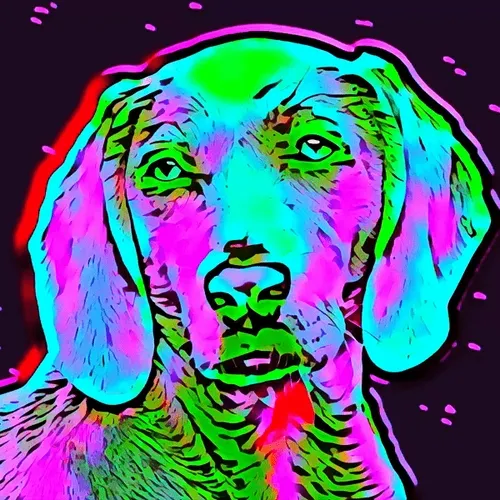 Breeds #36 (Weimaraner)