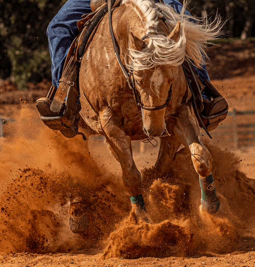 Horse Power