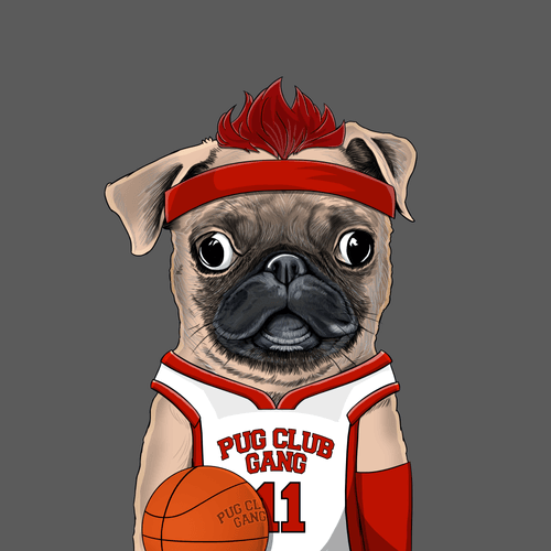 Pug #0155