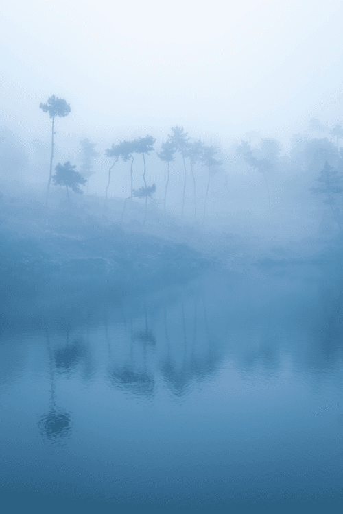 Murky Moor