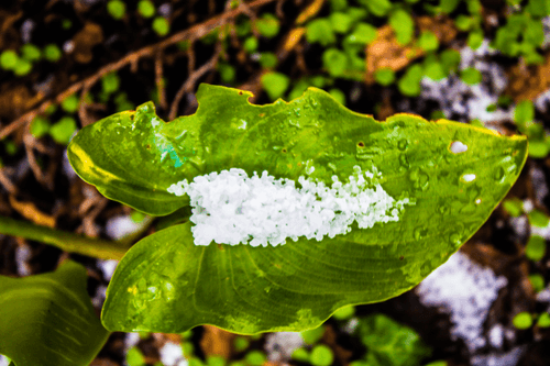 Crystal mETH(Snow)