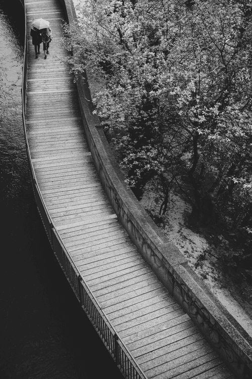 Life #60