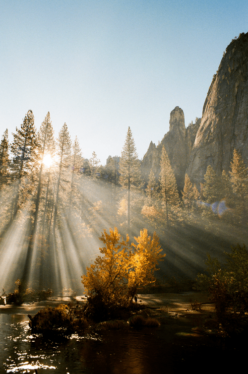 The Yosemite Collection -04