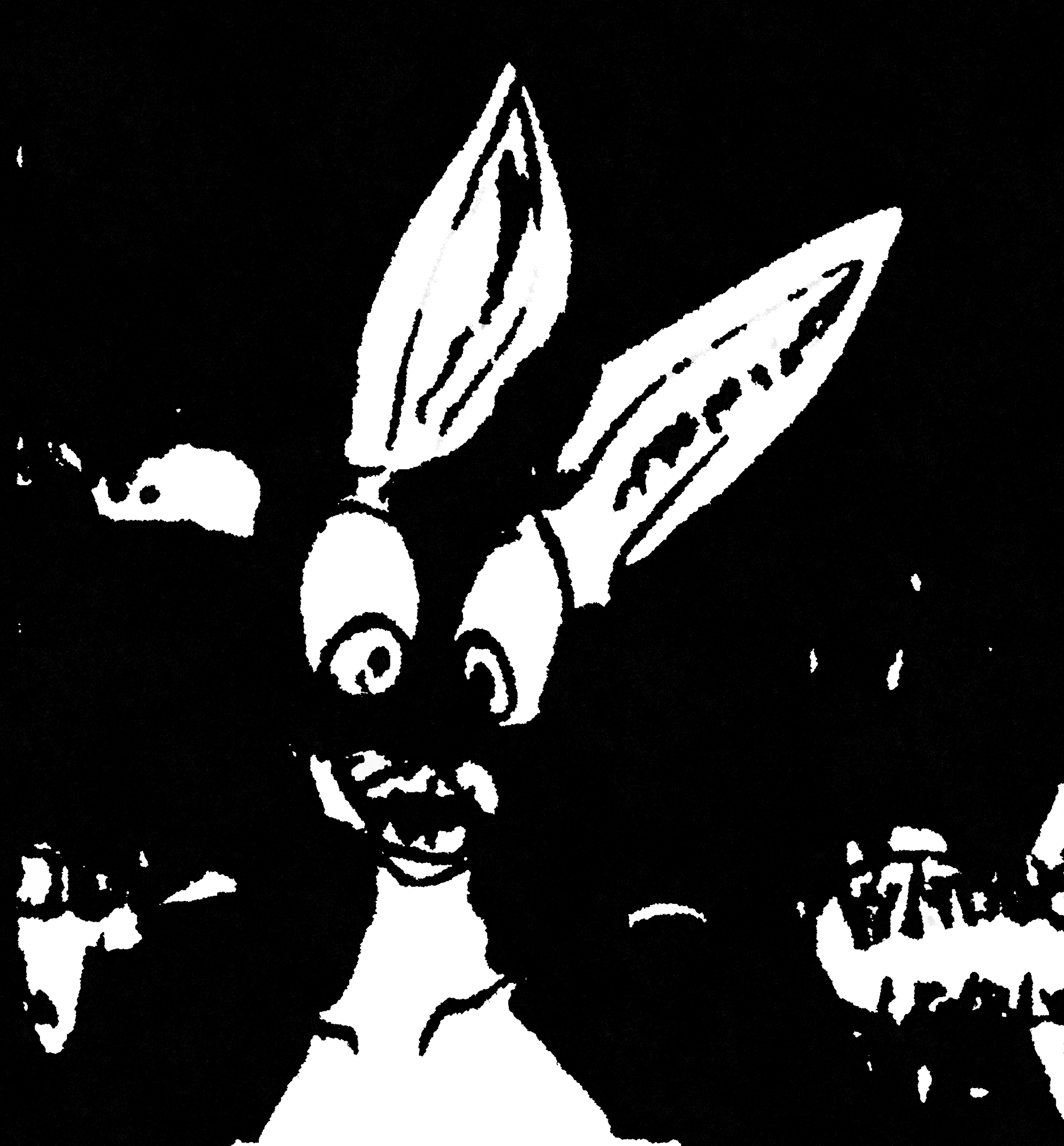 The Bunny in Black + White