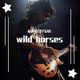 Wild Horses (cover)