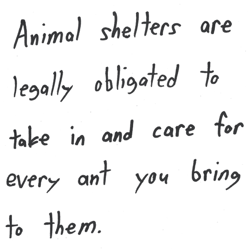 Low Quality Fact #595