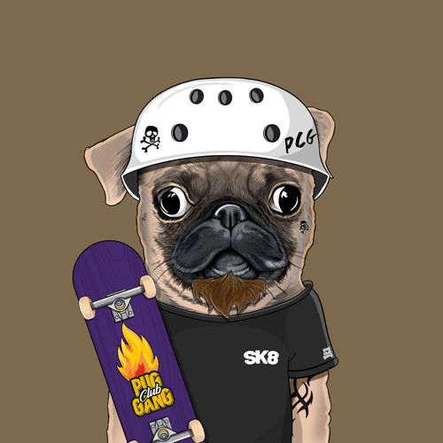 Pug #0165