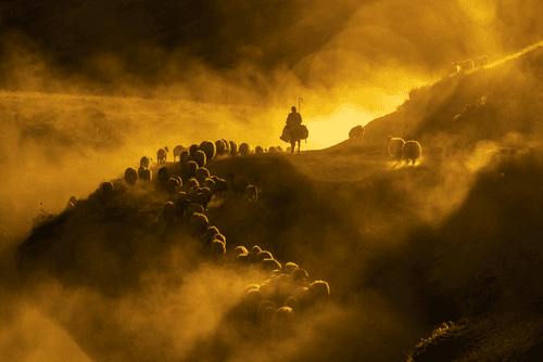 The dusty journey