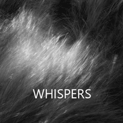 -WHISPERS- collection image