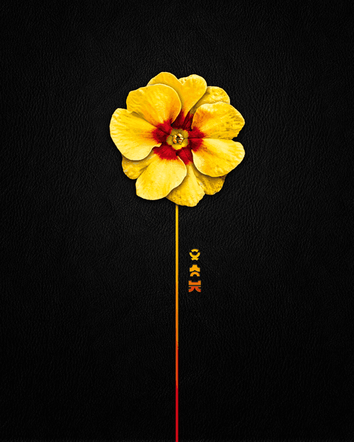 Primary Nature Minimal 01 animated
