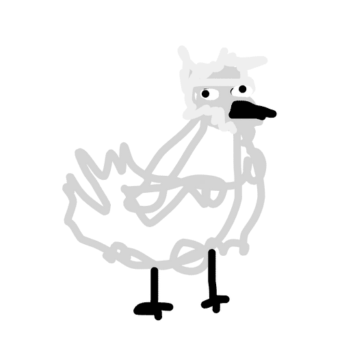 Silkie Chicken