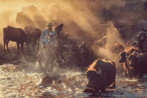 Crossing the creek