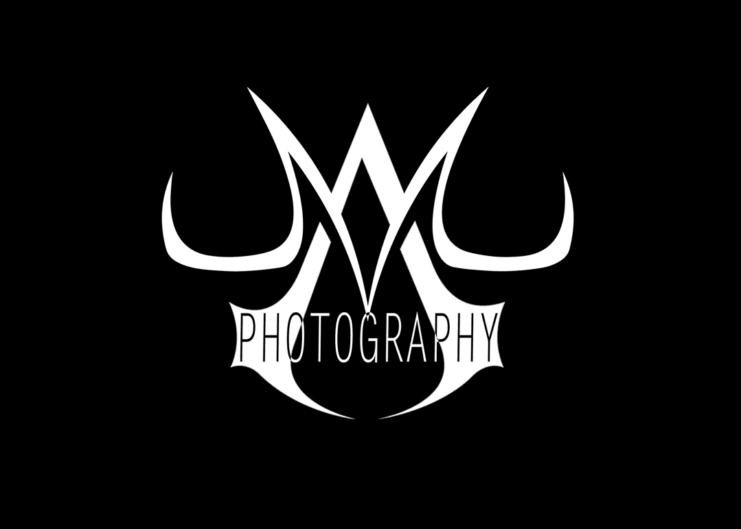 MatteaToyPhotography banner