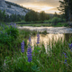 Dreaming of Yosemite - old