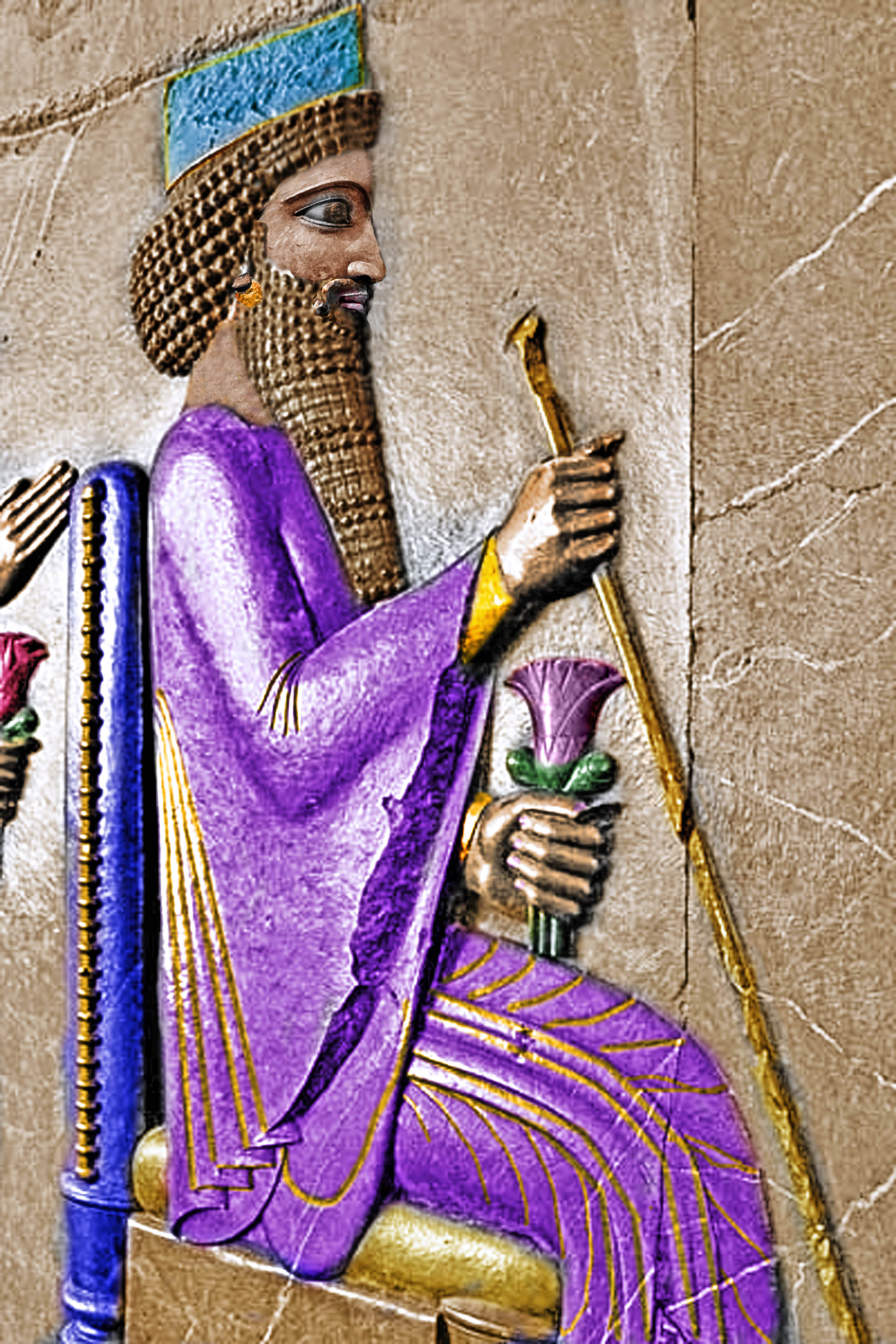 Darius the Great of Persia - Achaemenid Dynasty OpenSea