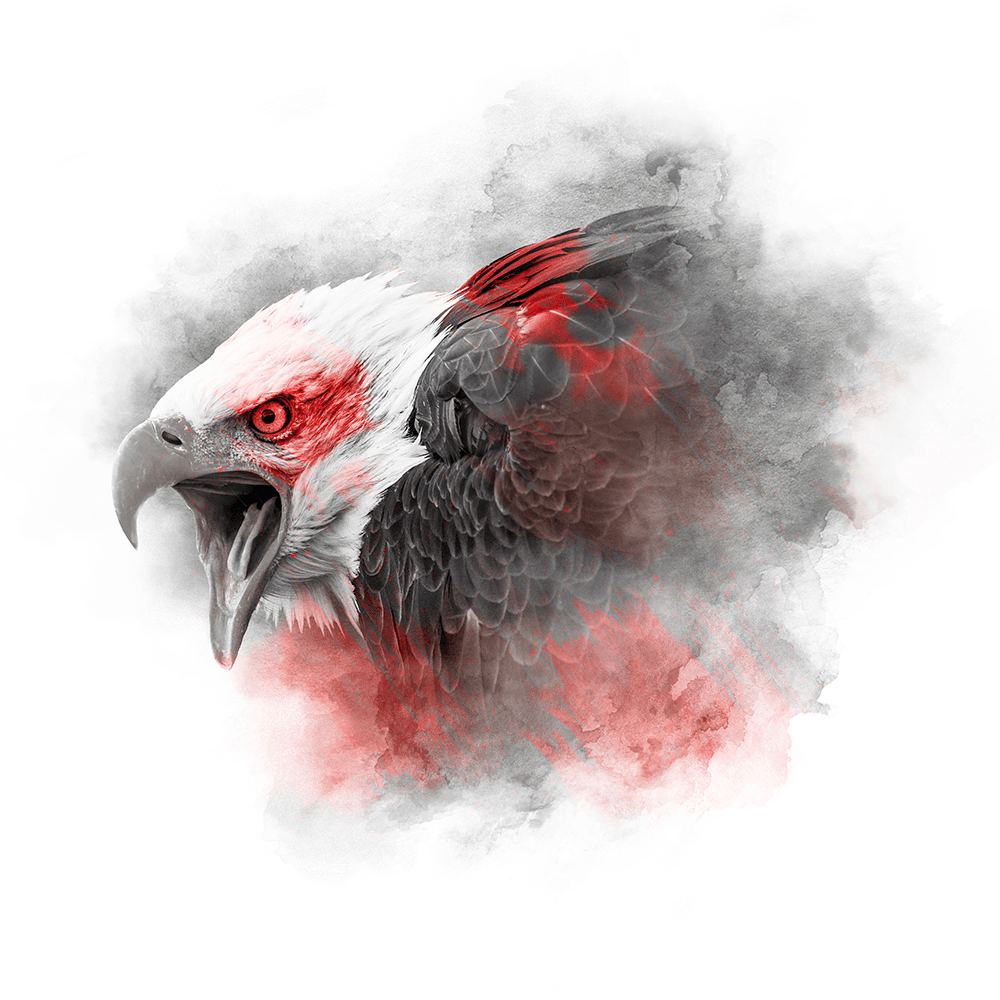 RED SERIES - BALD EAGLE