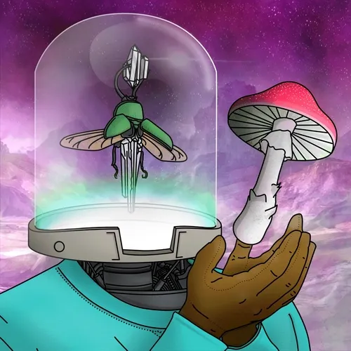 Curios by Shroom Headz