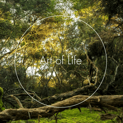 Art of Life V3 collection image