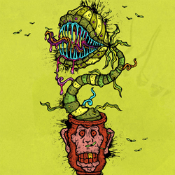Funky Fly Traps Official collection image