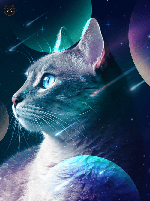 SpaceCat#1