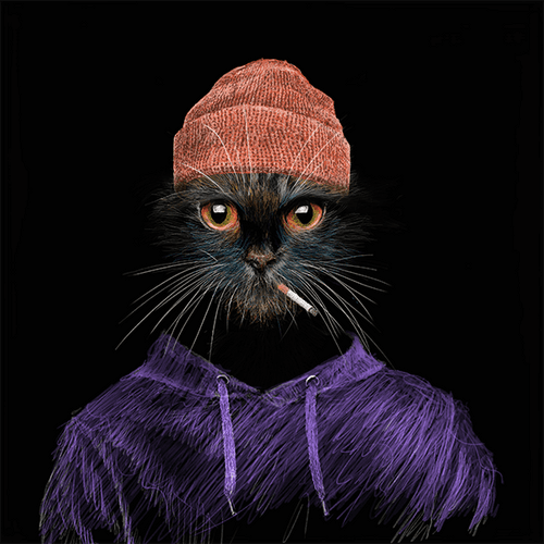MetaTabby #138