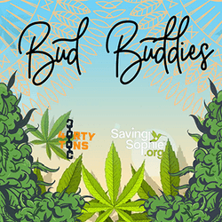 BudBuddies collection image