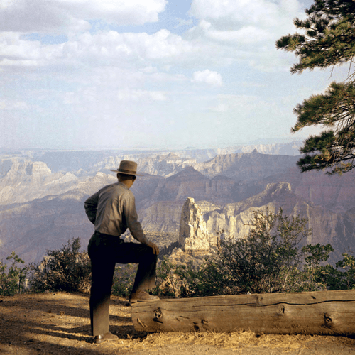 USA 1955