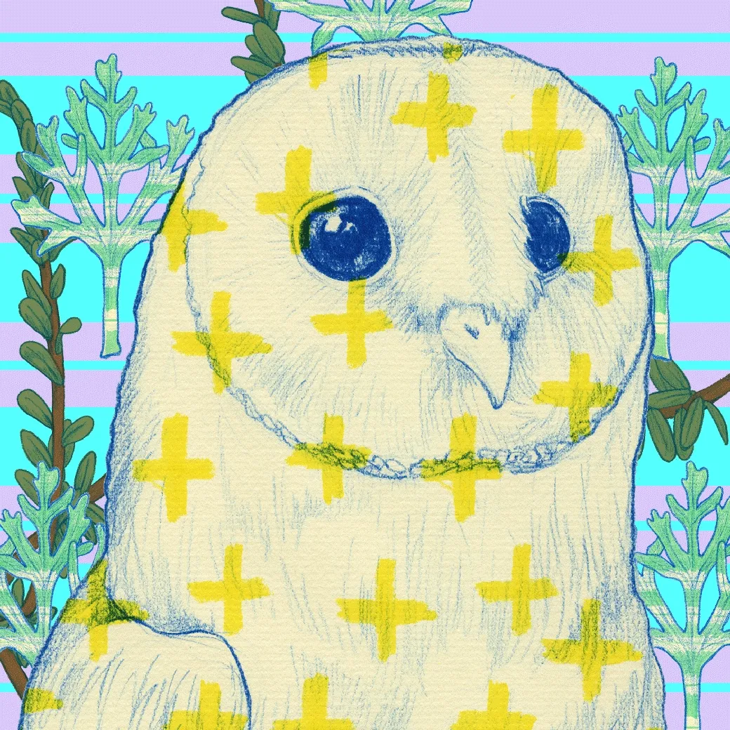 Blink Owl #060