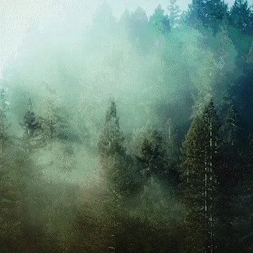 To The Ends Of The Earth