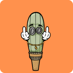 Thirsty Cactus collection image