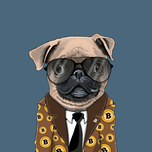 Pug #0072