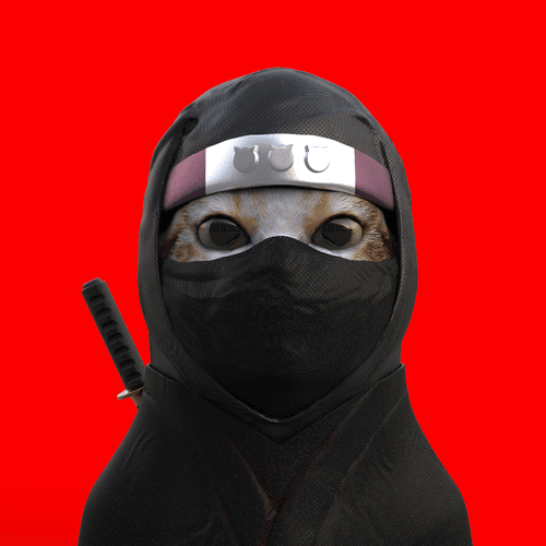 armored cat 019 ninja