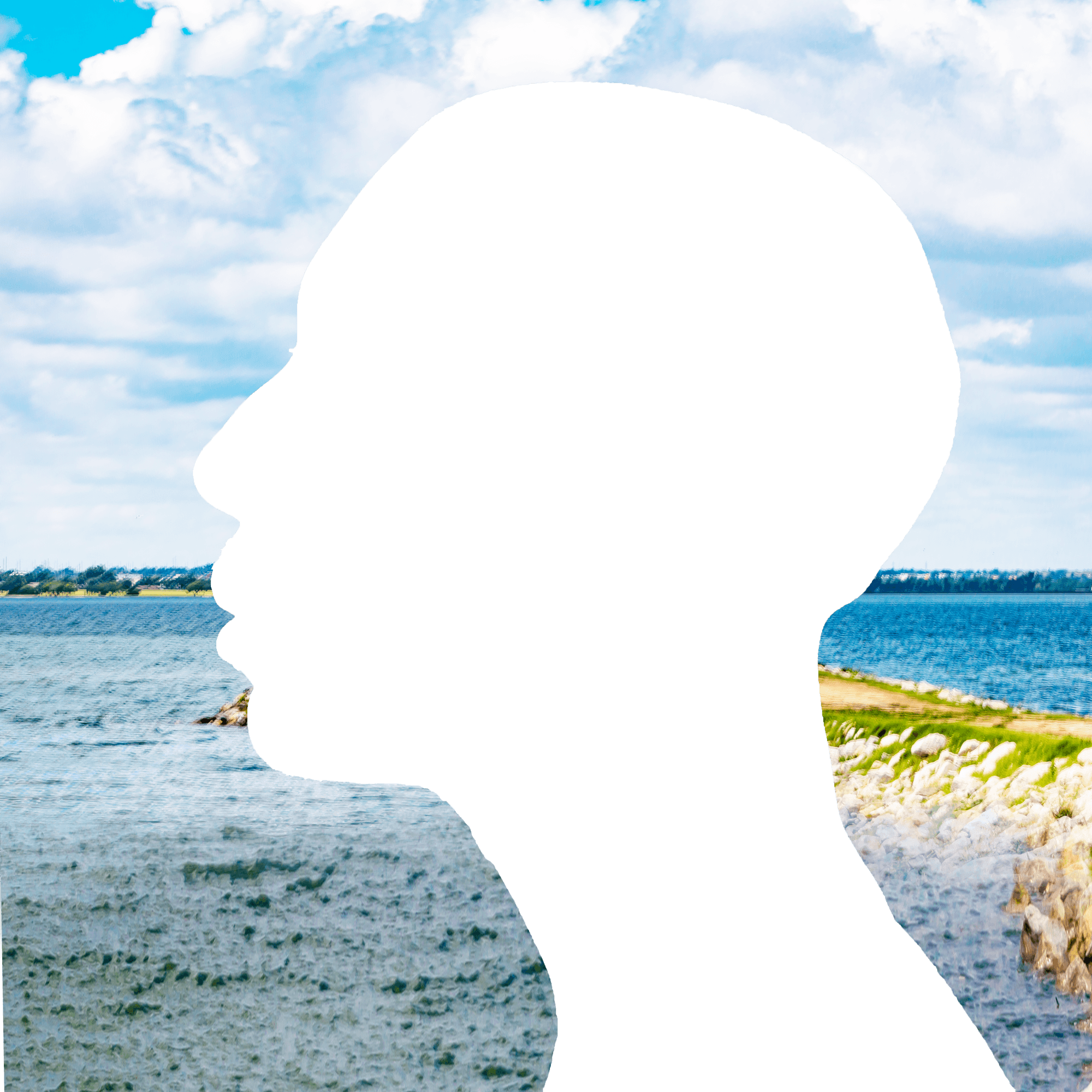 day-tripper-interlude-interlude-collection-opensea