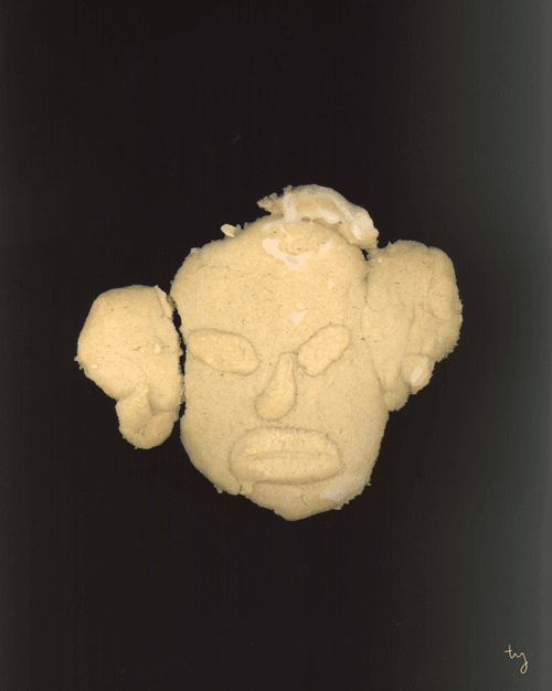 THE CHRISTMAS COOKIE 2021