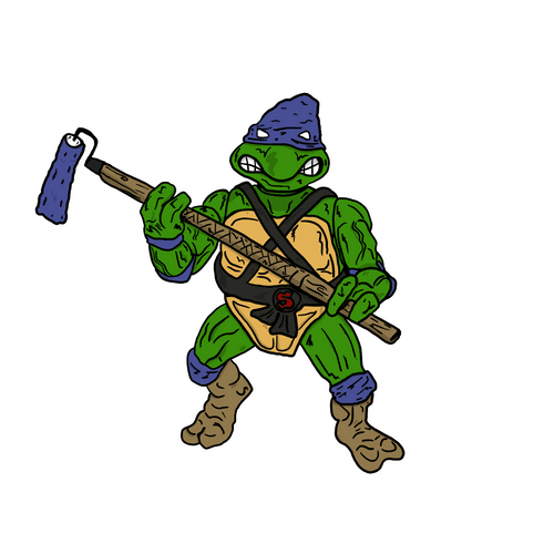 Painter Turtle