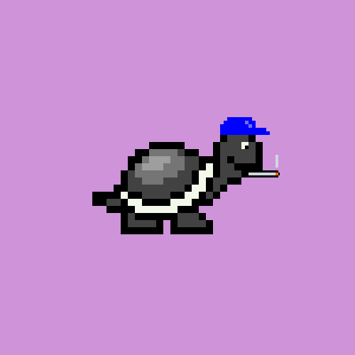 Turtle #63