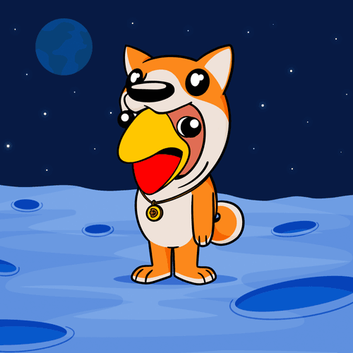 birdnard #6969
