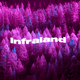 Infraland