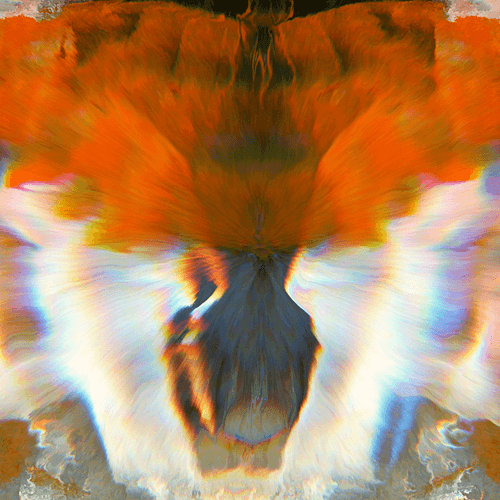 Perfect Abstraction OpenSea