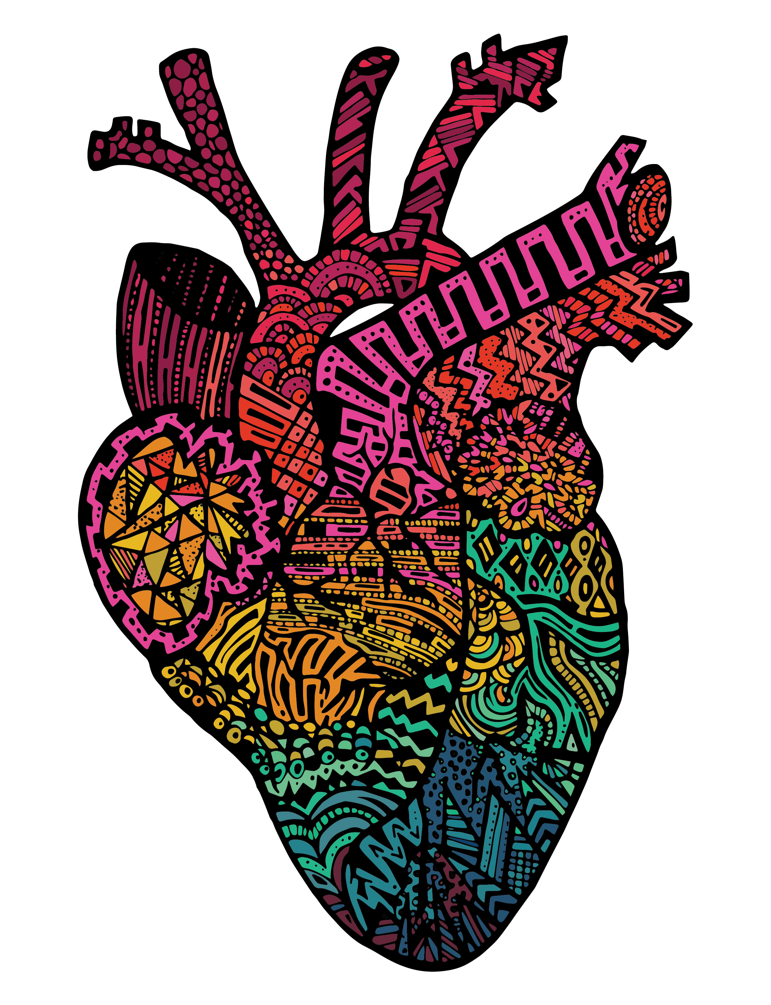 Anatomical Heart #1