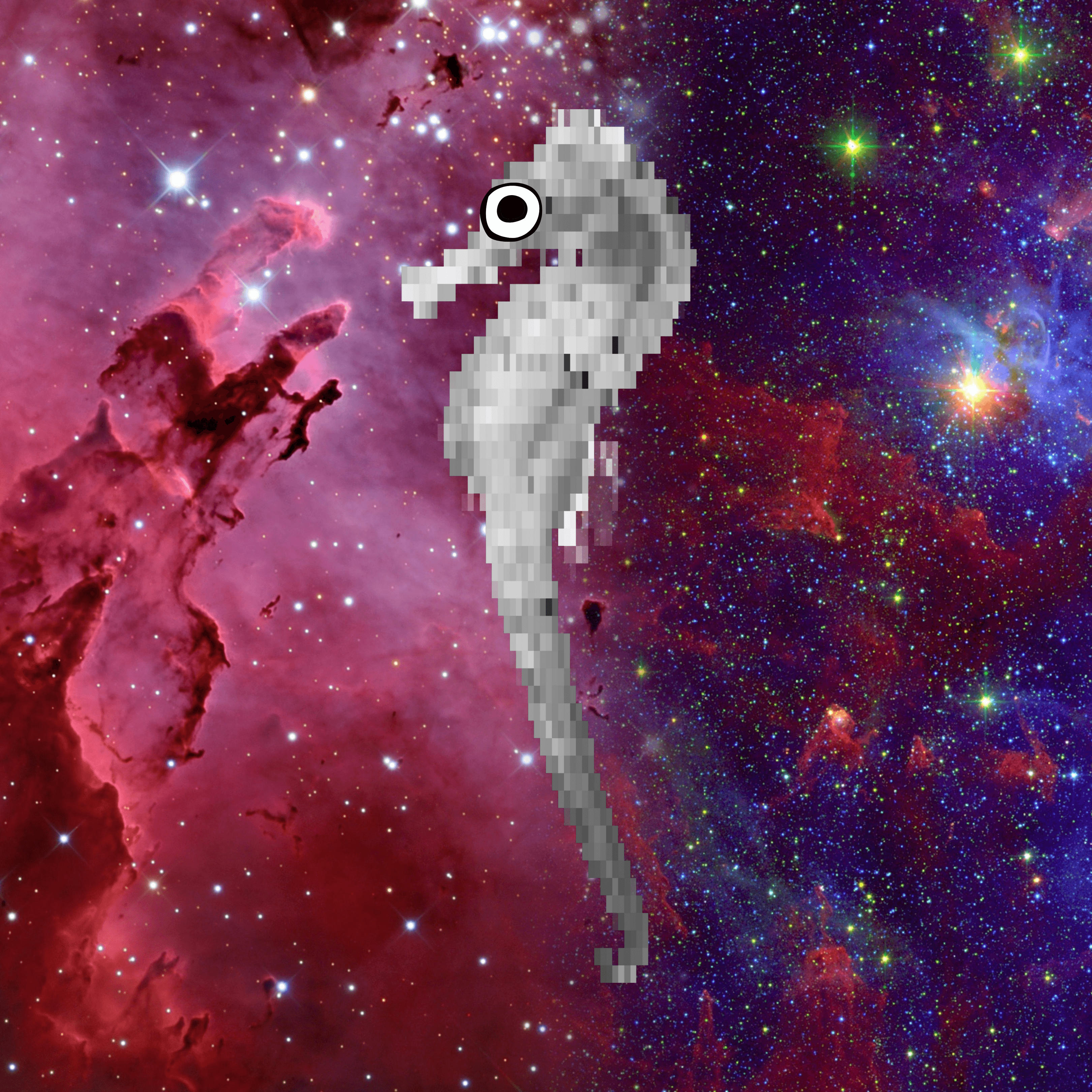 Seahorse in Space V