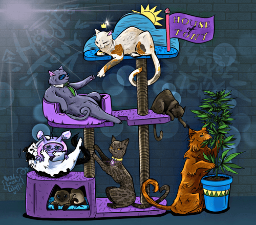 House of Tony. CATovization :3