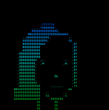 ASCII Punk #5