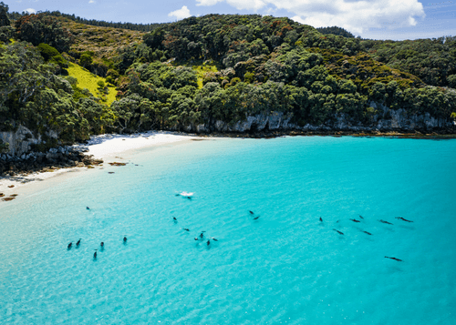 Tangaroa into the blue #14